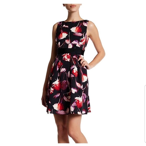 Adrianna Papell Dresses & Skirts - NWT Adrianna Papell Floral Plus Size Dress